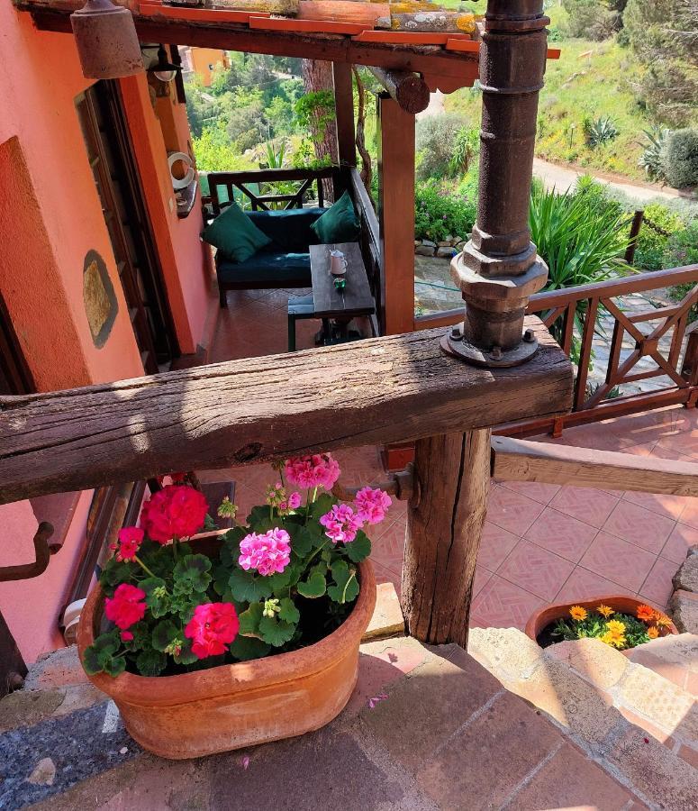 Villetta Dei Fichi D'India Rio nell'Elba Exterior foto